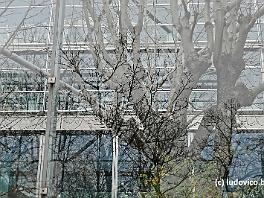 PARIS2015_P8630503 ASCII