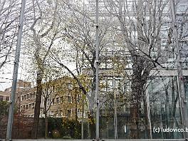 PARIS2015_P8630507 ASCII