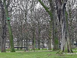 PARIS2015_P8630130 ASCII