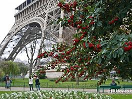 PARIS2015_P8630332 ASCII