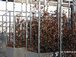 PARIS2016_P8640798 ASCII