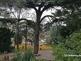 PARIS2016_P8640363 ASCII