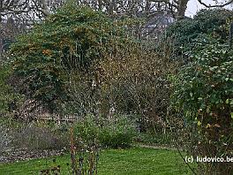 PARIS2016_P8640378 ASCII