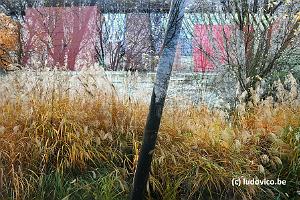 Jardin Muse Branly