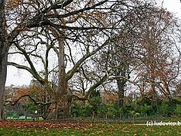 PARIS2017_P1020250 ASCII