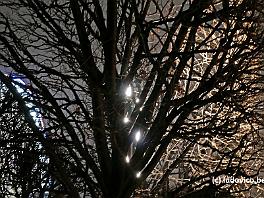 PARIS2017_P1020135 ASCII