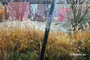 Jardin Muse Branly