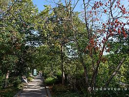 PARIJS2019_DSCF8081
