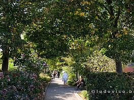 PARIJS2019_DSCF8089