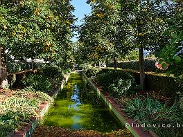 PARIJS2019_DSCF8092