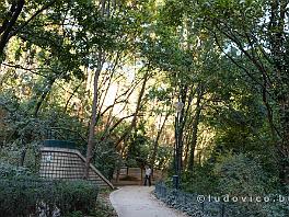 PARIJS2019_DSCF8099