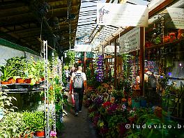 PARIJS2019_P1280471