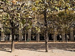 PARIJS2019_DSCF9366