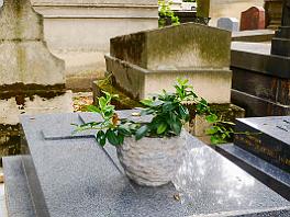 PARIJS2019_P1280736