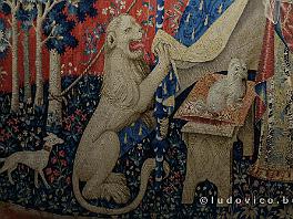 PARIJS2019_DSCF8220