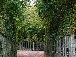 PARIJS2019_DSCF8819