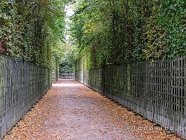 PARIJS2019_DSCF8821