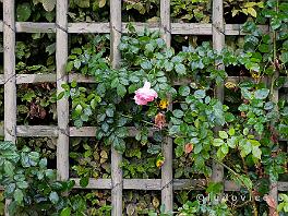 PARIJS2019_DSCF8828