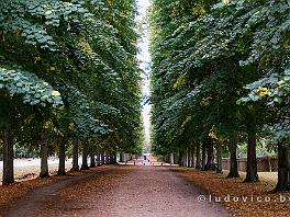 PARIJS2019_DSCF8947