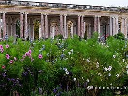 PARIJS2019_DSCF8870