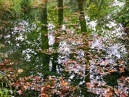 PARIJS2019_DSCF8918