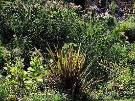 PARIJS2019_DSCF8587