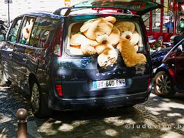 PARIJS2019_P1280431