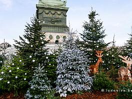 PARIJS2021_P8730122