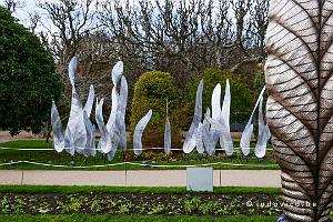 Jardin des Plantes
