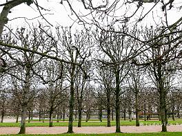 PARIJS2021_P8730220