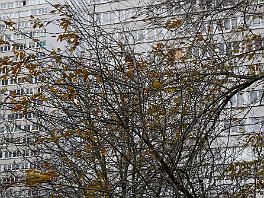 PARIJS2021_P8720997