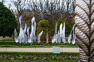Jardin des Plantes
