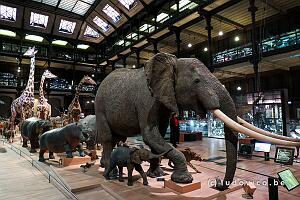 Mus�e Nationale d'Histoire Naturelle