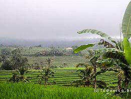 INDONESIE_D7M_6651