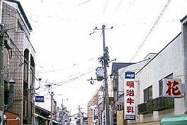 KYOTO99N024
