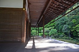 JAPAN2018_2171