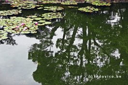 JAPAN2018_P8680278