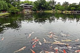 JAPAN2018_P8680312