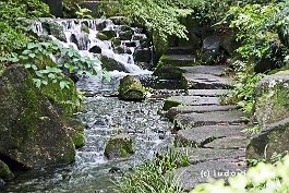 JAPAN2018_P8680344
