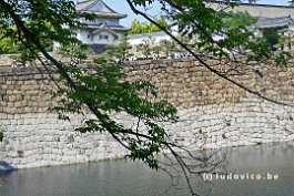 JAPAN2018_P1030309