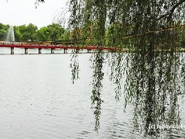KOREA2017_DSC_0881