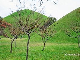 KOREA2017_DSC_1801