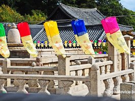 KOREA2017_DSC_1595