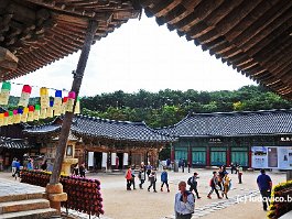 KOREA2017_DSC_1606