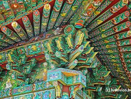 KOREA2017_DSC_3084