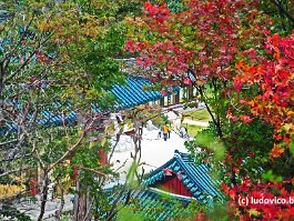 KOREA2017_DSC_3096
