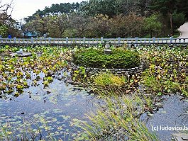KOREA2017_DSC_3210