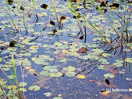 KOREA2017_DSC_3211