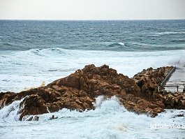 KOREA2017_DSC_3248