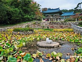 KOREA2017_DSC_3275